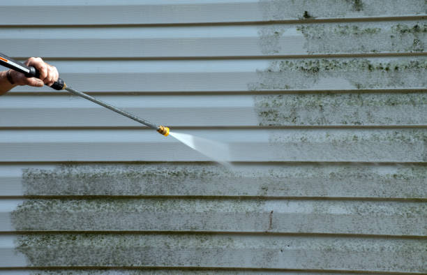 Mold Removal Process in Milan, NM